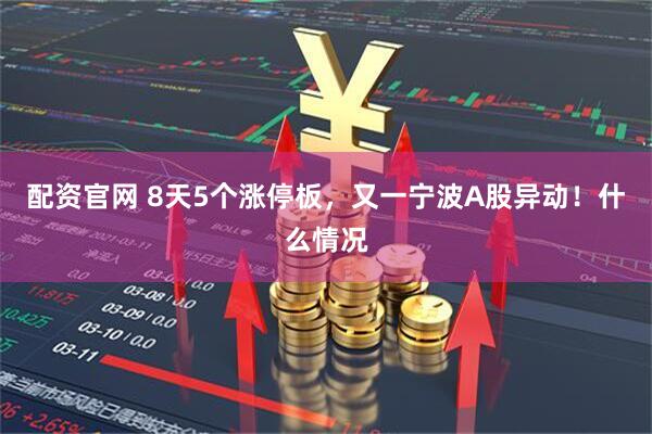 配资官网 8天5个涨停板，又一宁波A股异动！什么情况