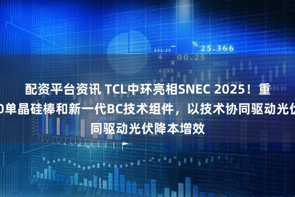 配资平台资讯 TCL中环亮相SNEC 2025！重点展出210单晶硅棒和新一代BC技术组件，以技术协同驱动光伏降本增效