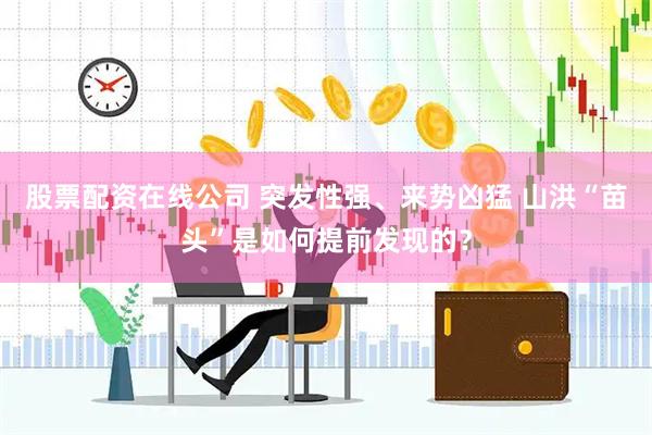 股票配资在线公司 突发性强、来势凶猛 山洪“苗头”是如何提前发现的？